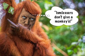 Orangutan Führer.