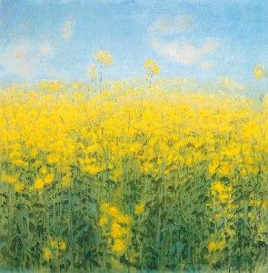 "The yellow cloud" by Hanno Karlhuber